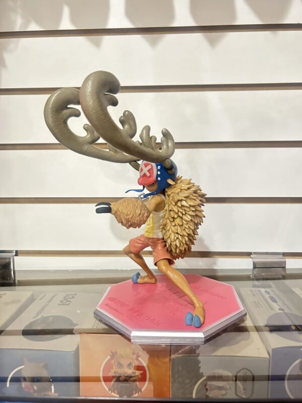 IMG_7673 Tony Tony Chopper "Horn Point"