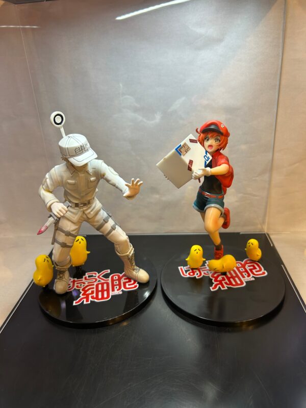 Pack Dúo: Glóbulo Blanco & Glóbulo Rojo - Cells at Work!